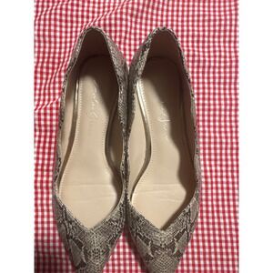 Amelia Grace Women Snake Print Pointed Toe Flat Shoes Size 6M